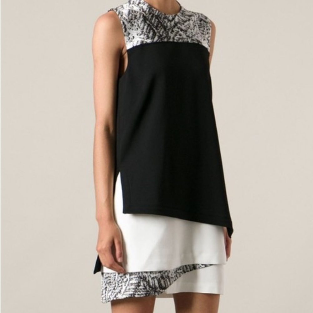 Helmut Lang Printed and Layered Shift Dress